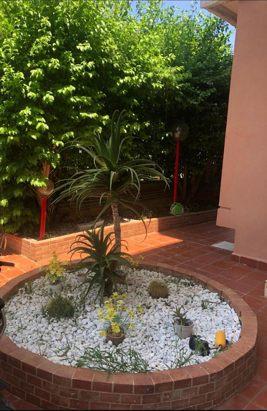 Mondello House Lemon Apartment Palermo Exterior photo