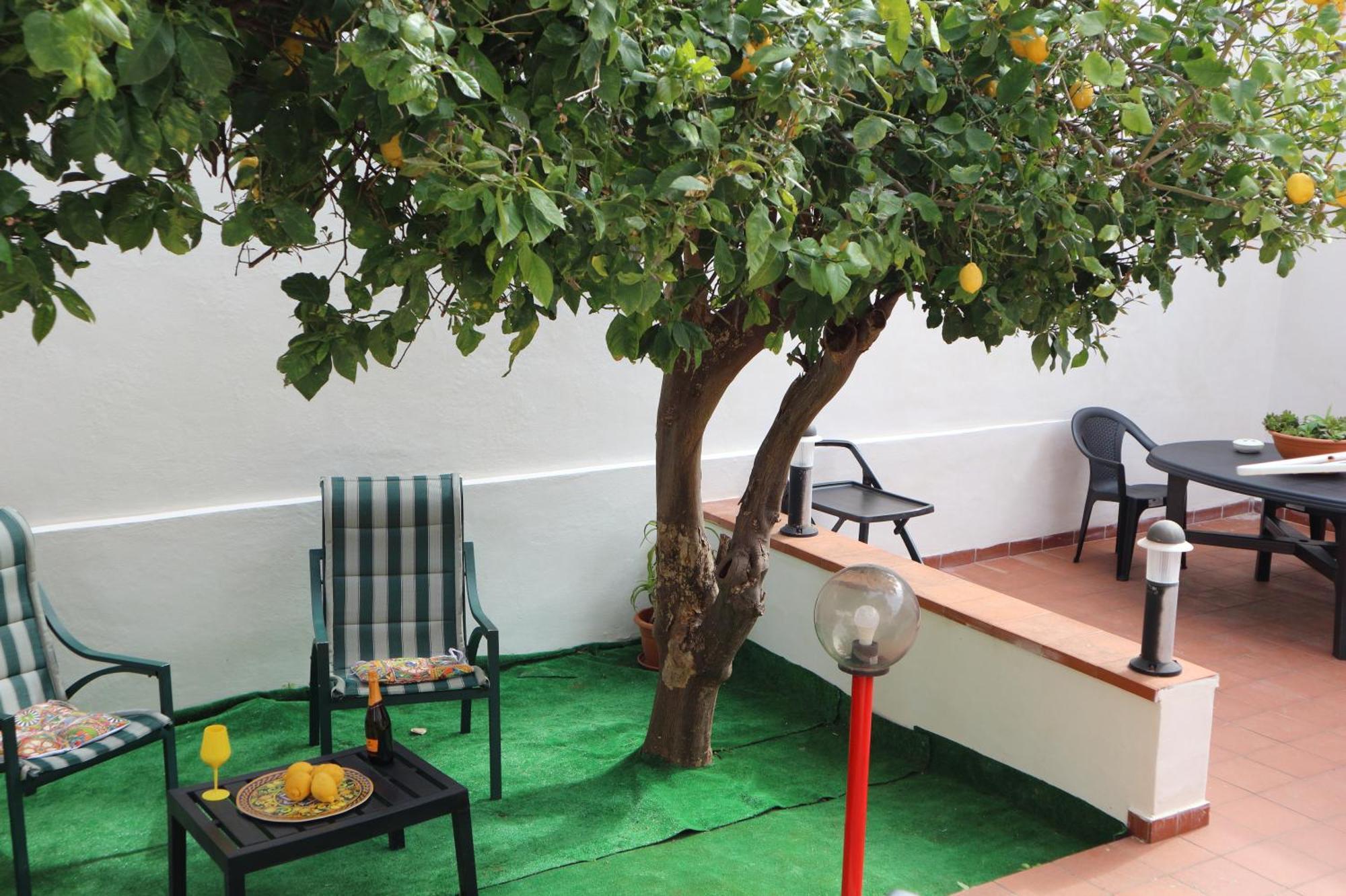 Mondello House Lemon Apartment Palermo Exterior photo